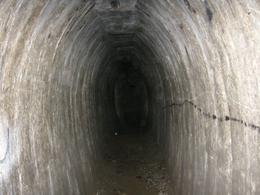 Дот 1.JPG