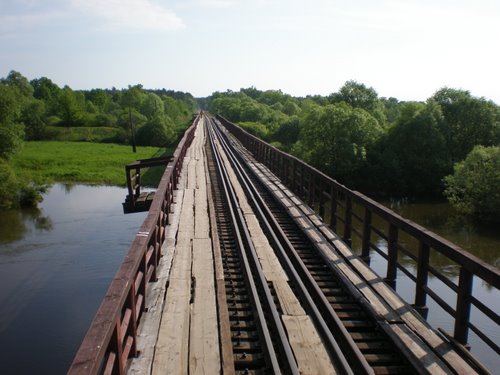 28481793.jpg