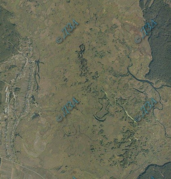 Screenshot_118.jpg